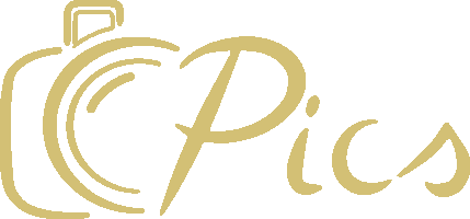 logo Pics